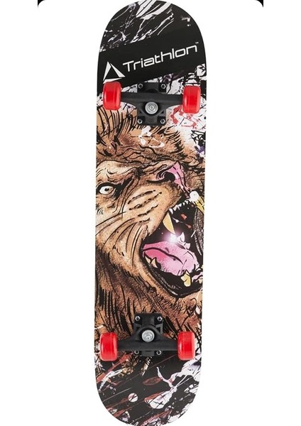 T132 Tahta Ayı Desen Kaykay fırsatları