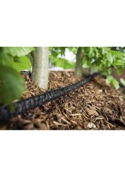 Karcher Rain Box, Sarı indirimleri