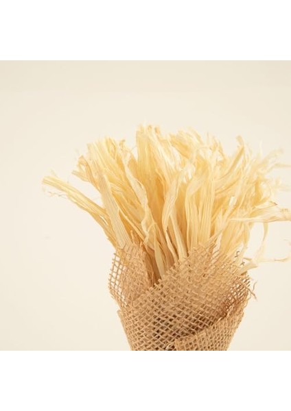 Amaya Jütte Kuru Çiçek fiyatları