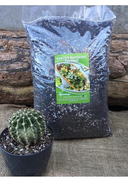 Kaktüs Toprağı 20 Lt Özel Karışım Sukulent Toprağı Aloe Vera Toprağı Kaktüs Harcı Teraryum Toprağı