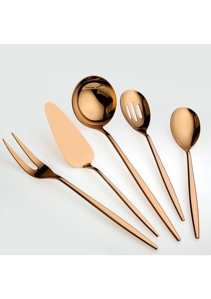 5800 Titanyum Bronz 5 Parça Servis Seti