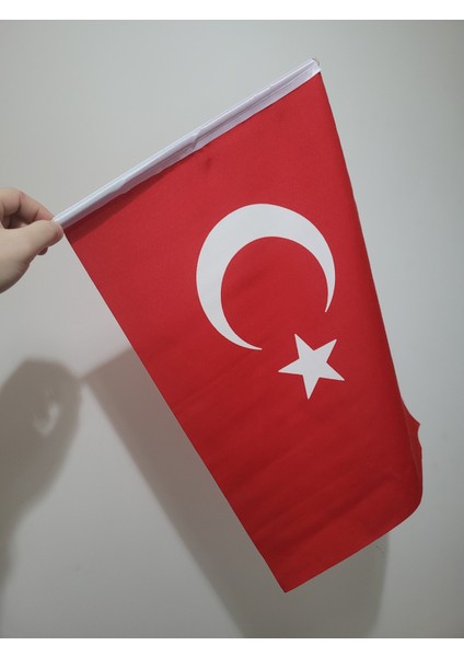 Miting Türk Bayrağı Raşel Kumaş Pigment Baskı 30X45 cm 10 Adet – Tören ve Dış Mekan Kullanıma Uygun fiyatları