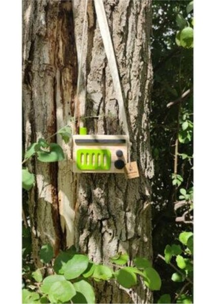 Yeşil Doğal Ahşap Retro Dekoratif Radyo ve Çocuk Oyuncağı fiyatları