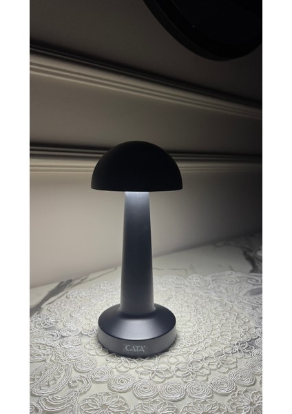 Ct 8428 Lizbon Siyah Şarjlı Masa Lambası fırsatları