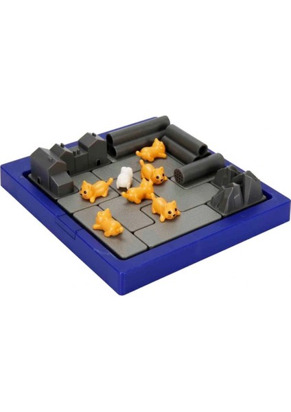 Bfs Zor Kaçış Kutu Oyunu