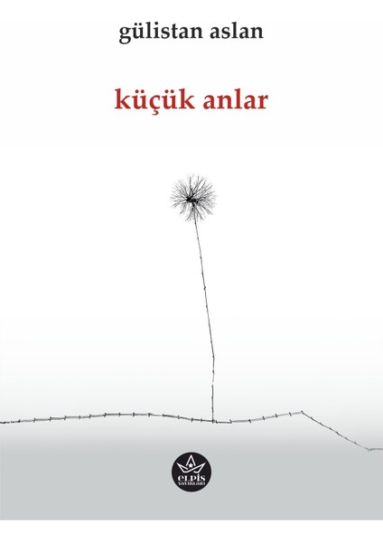 Küçük Anlar