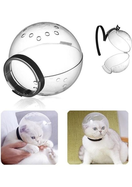 Kedi Şeffaf Astranot Kask Yakalık