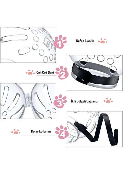 Kedi Şeffaf Astranot Kask Yakalık fiyatları