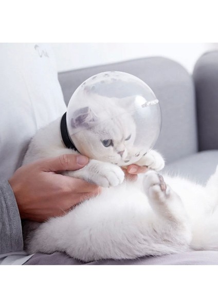 Kedi Şeffaf Astranot Kask Yakalık