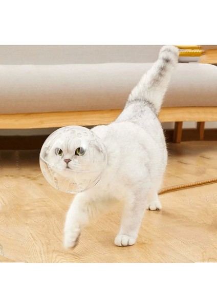 Kedi Şeffaf Astranot Kask Yakalık