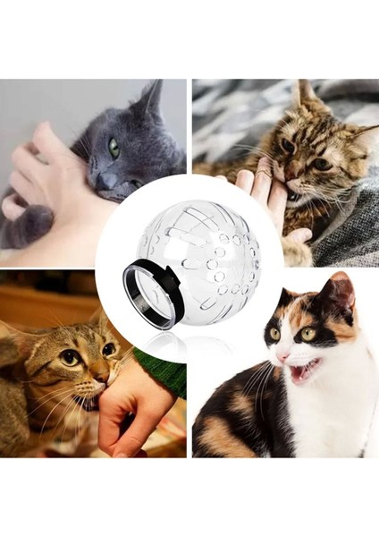 Kedi Şeffaf Astranot Kask Yakalık