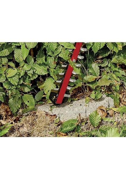 Akülü Çit Budama Arcurra 18/55 Power X-Change (18 V, 55 cm Kesim Uzunluğu, 18 mm Diş Aralığı, Akü Dahil Değildir) - 3410920 fırsatları