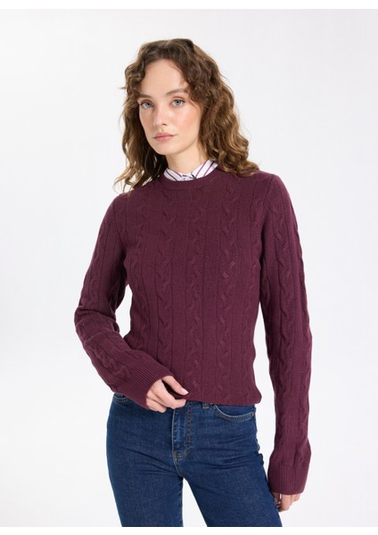 Bisiklet Yaka Basic Saç Örgü Desenli Mürdüm Kazak Kadın J5WL-KZK7128