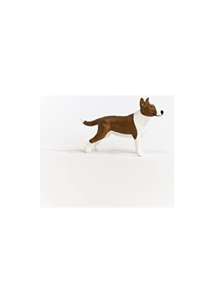 Bull Teriyer modelleri