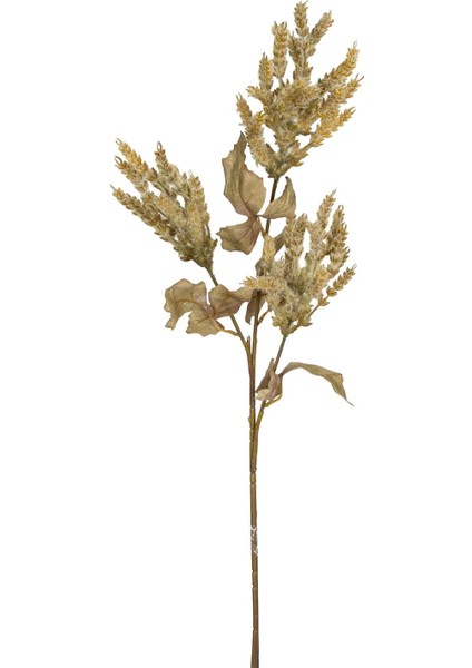 Çiçekli Bitki Pampas Yeşil 90 Cm.