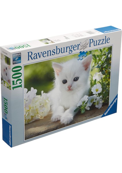 1500 Katzentrio Parçalar