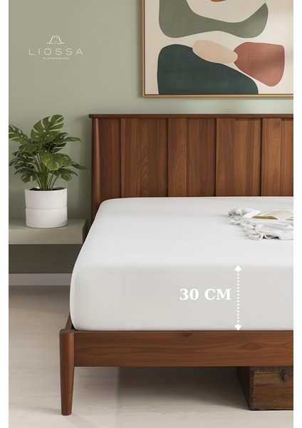 Premium Pamuklu Havlu Çarşaf | 360° Tam Lastikli | Tek/çift Kişilik Lastikli Havlu Çarşaf fiyatları