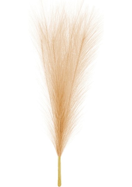 Dekoratif Tüy - Turuncu - 44 cm fiyatları