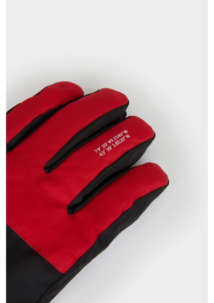 Erkek Renk Bloklu Eldiven F3921AX25WN modelleri