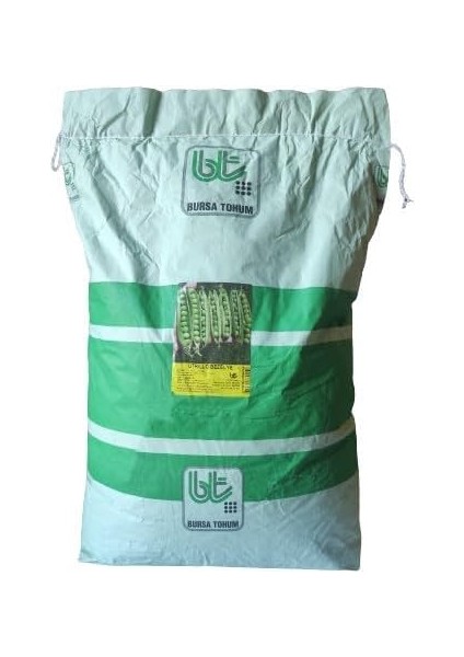 Tohum Bt Rondo - Utrillo- Bezelye (500 Gr)