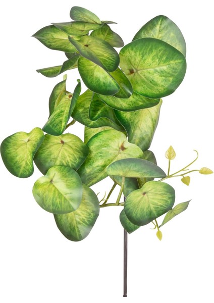 Yapay Bitki Salon Sarmaşığı Yeşil 35 Cm.