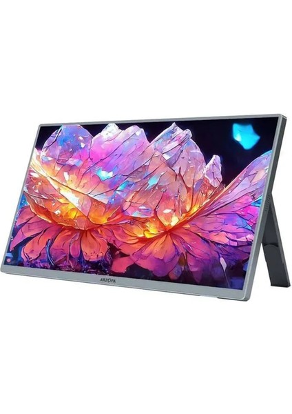 A3C PRO 13.3 inç 60Hz Full HD OLED Type-C Taşınabilir Monitör