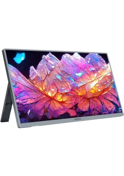 A3C PRO 13.3 inç 60Hz Full HD OLED Type-C Taşınabilir Monitör fiyatları