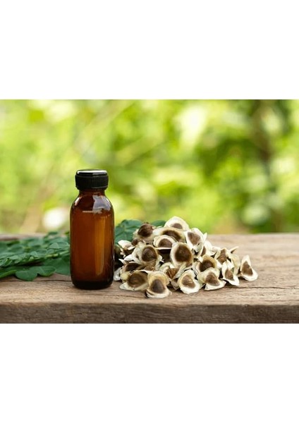 Oleiefera Mucize Ağaç 20 Adet Tohum