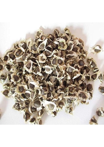 Oleiefera Mucize Ağaç 20 Adet Tohum fiyatları