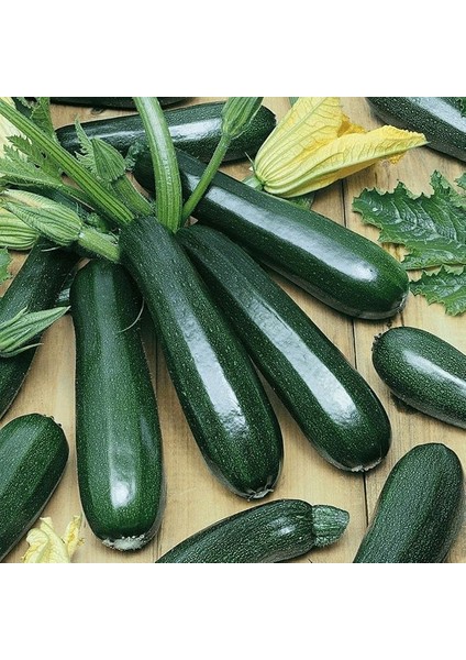 Tarım Ata Tohumu Yerli Esmer Siyah Kabak Tohumu 20 Adet Tohum