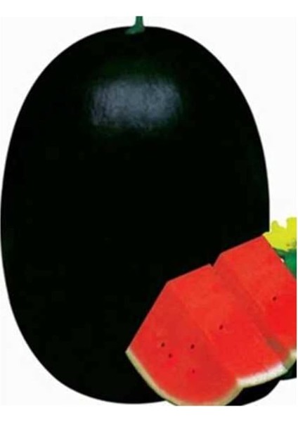 Halep Siyah Karpuz Tohumu 30 Adet Tohum