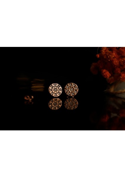 Selçuklu Yıldızı Küpe