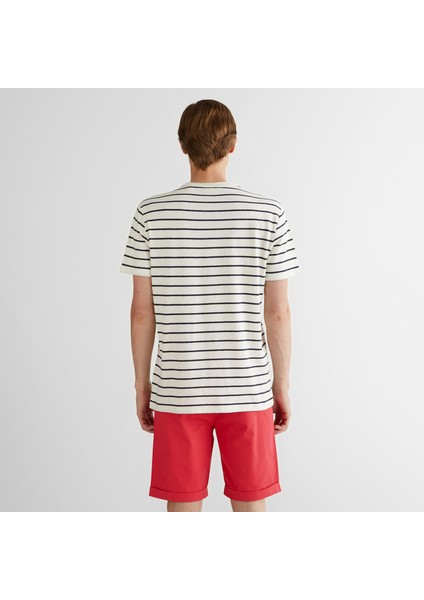 Erkek Krem Regular Fit Bisiklet Yaka Çizgili T-Shirt fiyatları