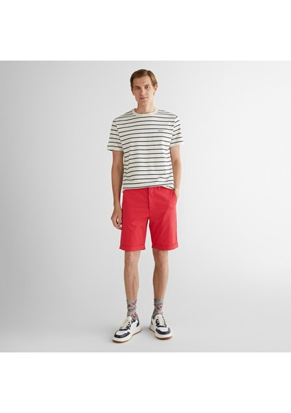 Erkek Krem Regular Fit Bisiklet Yaka Çizgili T-Shirt modelleri