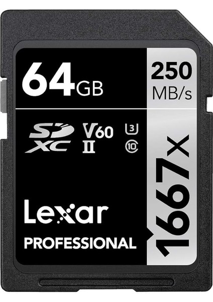 Professional 64 GB 1667X Sdxc Hafıza Kartı (250MB/S-80MB/S)