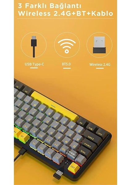 K870T Pro Kablosuz Hot Swap Mekanik Oyun Klavyesi-Rgb - 10 Adet Switch, Tuş ve Switch Sökme Aparatı Hediyeli (K870T Pro Siyah - Blue Switch) fırsatları