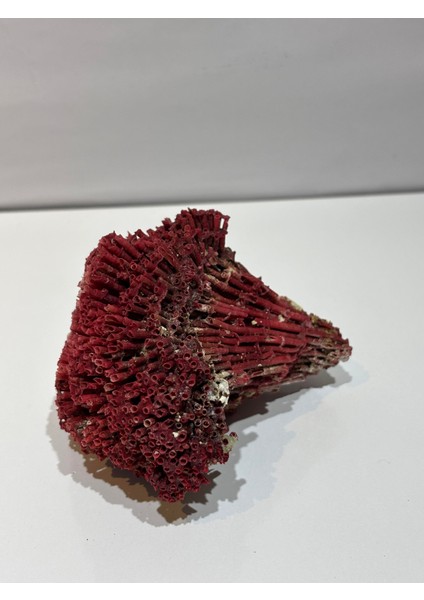 Kırmızı Mercan Doğaltaş modelleri