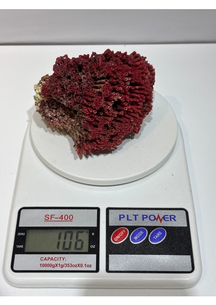 Kırmızı Mercan Doğaltaş indirimleri