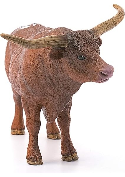 13866 T Longhorn Boğa, Renkli fiyatları