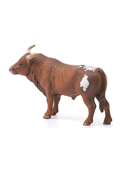 13866 T Longhorn Boğa, Renkli modelleri