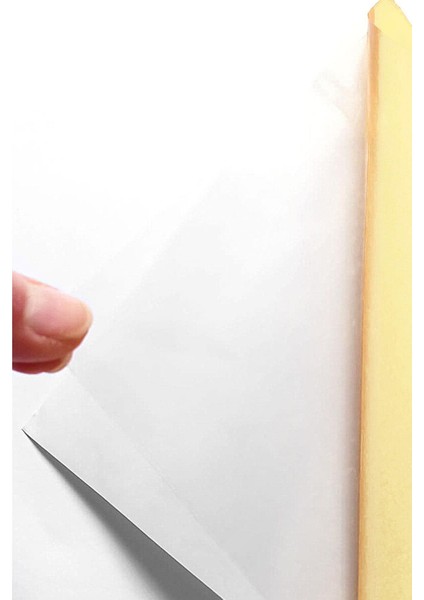 10 Adet Büyük Plaka 23X50 cm Çift Taraflı Yapışkanlı Bant modelleri