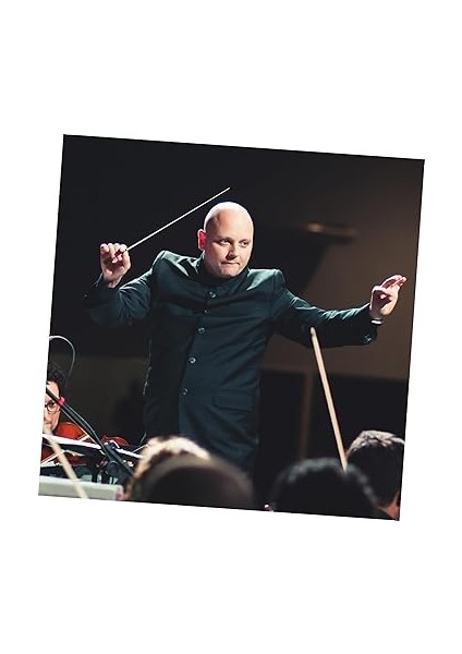 Gül Ağacı Sopası Senfoni Şefi Iletkenler Performans Konseri Müzikal Şefi Sopa Konser Için Müzik Sopası Koro I Şefliği Batonları Yedek Metal modelleri