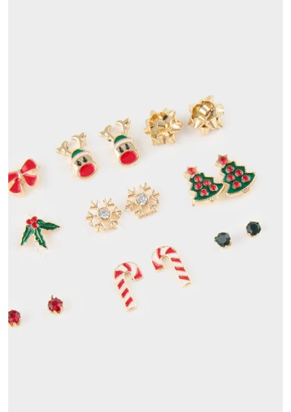 Kadın Yılbaşı Temalı 9'lu Küpe F7411AXNS fiyatları