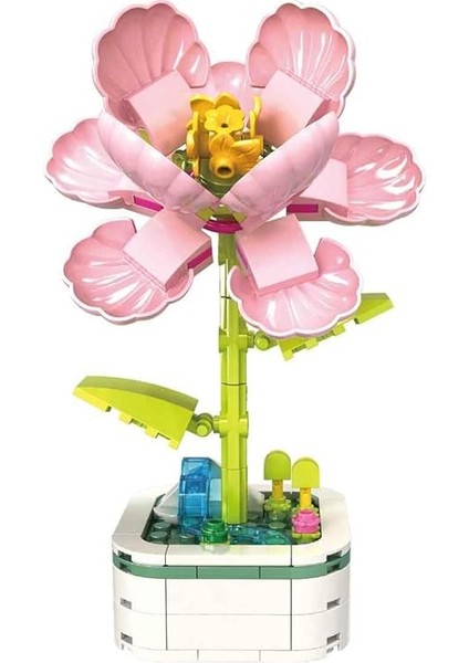 Ebegümeci Buketi 8809 fiyatları