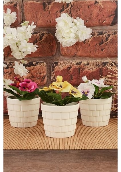 Kaktüs Seramik Saksı 3'lü Krem fiyatları