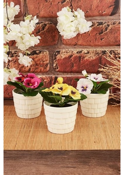 Kaktüs Seramik Saksı 3'lü Krem fırsatları