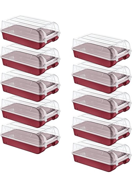 10'lu Set Erkek Carmen Ayakkabı Kutusu