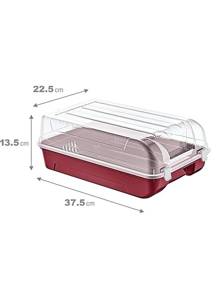 10'lu Set Erkek Carmen Ayakkabı Kutusu fiyatları