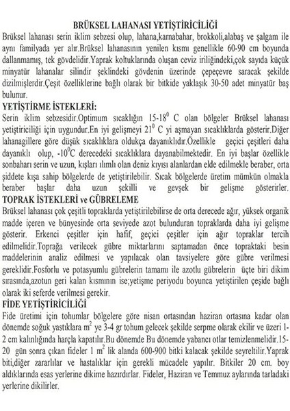 Tarım Doğal Bruksel Lahanası 150 Adet Tohum fiyatları