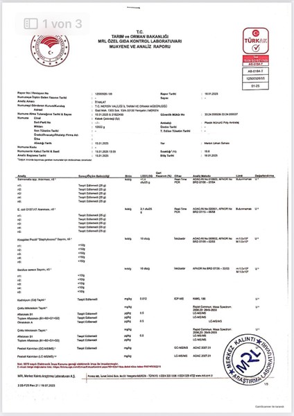 Kabak Çekirdeği Içi (Çiğ 300G) fırsatları